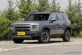新车 | 增2.0T高功率发动机/外观微调，2024款哈弗大狗7月25日上市图片
