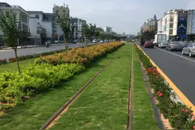 为什么中国习以为常的绿化带，在欧洲基本看不到，现在终于明白了图片