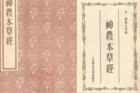 中医有四者，各有祖师爷，传承脉络，治未病，得健康，了解收藏图片