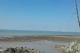 金门大桥建了11年还没竣工，厦门11年来一栋栋高楼拔地而起图片