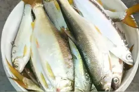 浮漂调低钓就和调高钓低哪个好？图片