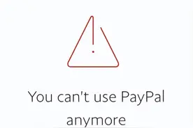 PayPal收款会遇到哪些风险？独立站还有什么支付方式可以接入？图片