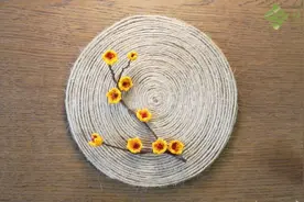我嘉手工课 | 一起制作蜡梅花装饰画图片
