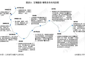 干货！2022年中国钢铁行业龙头企业分析——宝钢股份图片
