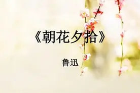 《朝花夕拾》简介图片