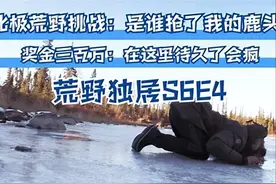 《荒野独居》，接近完美的荒野求生类节目，胜者奖金700万图片