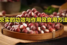 芡实的功效与作用及食用方法图片