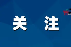 政策解读！12条加快推进重大项目落地实施措施图片