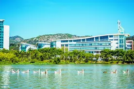 厉害了！16只狮头鹅“保安”嘉庚学院上岗！据说能驱蛇图片