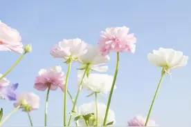 一位80岁老人说：走到生命终点才明白，此生善待一人才算赢图片