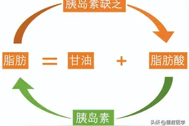 掌握这四点，搞定糖尿病酮症酸中毒！图片