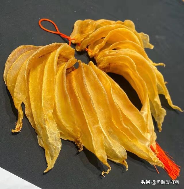湛江赤嘴鱼胶图片 2026年湛江赤嘴鱼胶的功效与作用