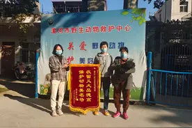 河南漯河：爱犬“救火”后流浪街头 10天后惊喜领回送锦旗深表谢意图片