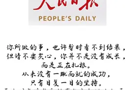 人民日报金句摘抄—慢慢坚持，以待来日图片
