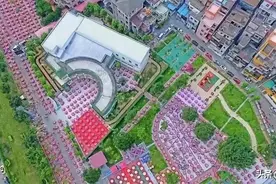 顺德这个有着600年历史的古村，你唔去就走宝啦图片