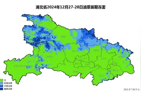 最低-6℃！湖北明日弱冷空气来袭 风力加大低温下降明显图片