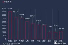 中国玉米种业浮沉录图片