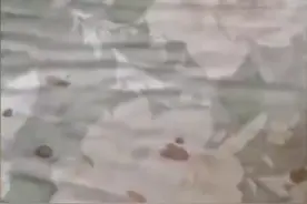 情侣租房偷偷跑路留满床血渍遍地垃圾，地上有用过的计生用品，房东回应：没遇过这种租客，卫生3天都搞不完图片