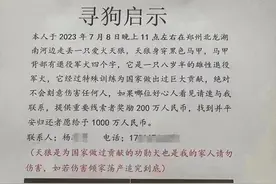 “悬赏1000万找狗”最新消息！郑州流浪动物领养中心：已找到图片