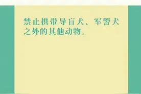 搭乘地铁哪些物品是禁止携带？快收好这份小贴士吧~图片