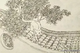 六扇门奇案（第二部）：40、死在婚前十天的苦命鸳鸯图片