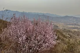 太行山里不一样的自驾路线，仅能一车通过，全程爬坡你想来试试吗图片