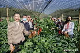 为三七正名溯源，他们开启“千年传奇”之旅图片