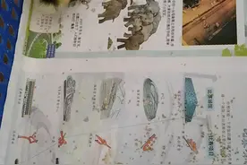 成长记：一只鸭子带来的烦恼和趣事图片