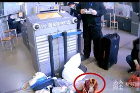 宠物犬藏袋子进站安检被拦下，宠物如何正确托运？图片