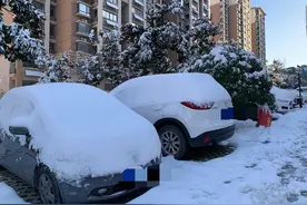 最高法民一庭：小区道路上的车位有两种类别，其归属不能一概而论图片