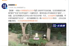韩国爱宝乐园举行“福宝”三岁生日会图片