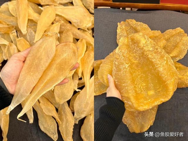 花胶 菜胶 药胶 2026年花胶搭配药材的功效 花胶 菜胶 药胶 2026年花胶搭配药材的功效
