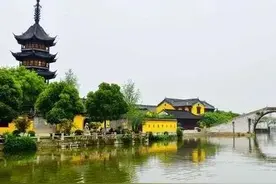 苏大强的十三太保，一个不服一个，一个比一个富有图片
