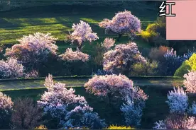 大美新疆+中国古典色=？图片