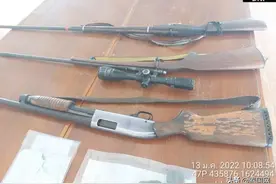 泰国野生老虎疑似因吃村民家牛 被剥皮拆骨图片
