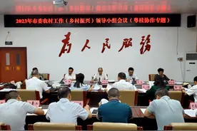 靖西市委农村工作（乡村振兴）)领导小组专题研究粤桂协作工作图片