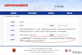 合肥野生动物园搬迁最新消息图片