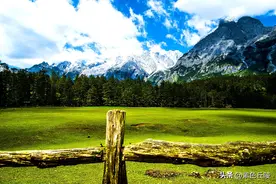 丽江艳遇与殉情：美了雪山，美了草原图片
