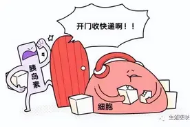 胰岛素抵抗，到底咋回事？图片