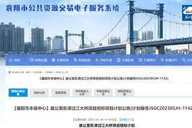 重磅！襄阳将新建两座跨江大桥！图片