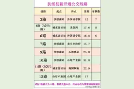 大扶绥要崛起了！新开8条公交线路服务扶绥南站图片