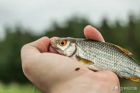 铅坠边太空豆打开好还是锁紧好？这可不能小视，跑鱼没口就在于此图片