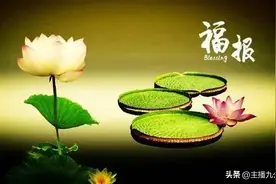 身上有这三个特征的人，日后必有福报，别不信图片