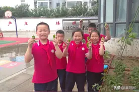 襄阳市人民路小学：体验劳动 收获快乐图片