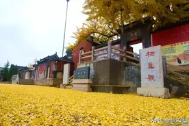 沂源栖真观，全真道龙门派丘处机大弟子开创。改写当年山东全真道历史的重要见证。图片