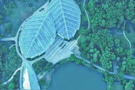 反向避暑指南：在南京中山植物园感受郁郁葱葱的盛夏图片
