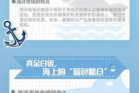 科普图解 | 走进海洋牧场，一起了解“蓝色粮仓”图片