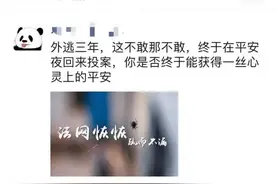 杭州男子逃亡三年后崩溃自首：“没有健康码出不了门，我受不了...”图片