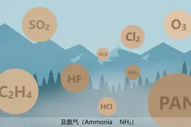 环保公益课堂丨大气污染的影响图片