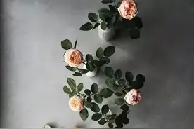 花艺设计三要素!点、线、面详解以及运用!图片